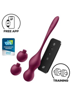 Love Birds Vary Connect App Wine Red